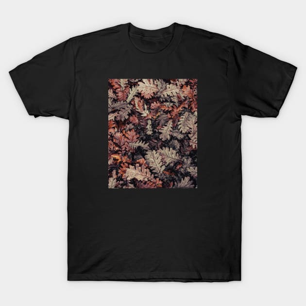 Autumn Leaves - HD Nature T-Shirt by Bumcchi